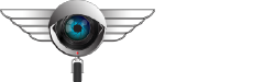 Logo Rflex Vido 250x75